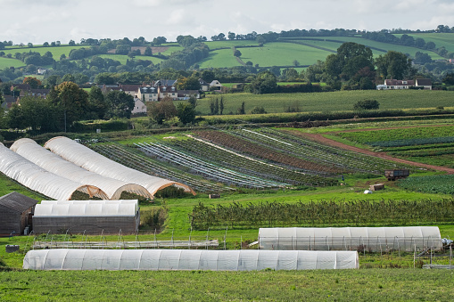 Layout of  UK market gardens producing a variety of vegetable crops grown in both the open air and in polythene tunnels